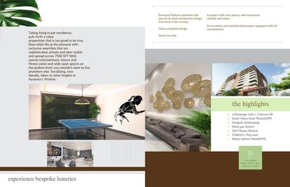 Ayyanna Pristine Brochure Image 11