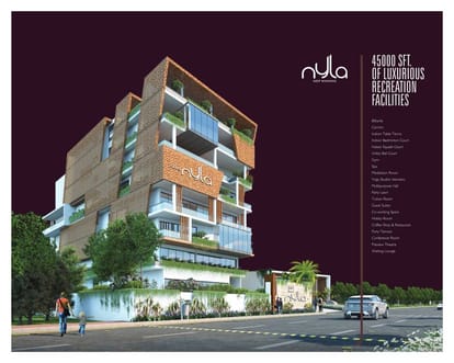 Team4 Nyla Brochure Image 15