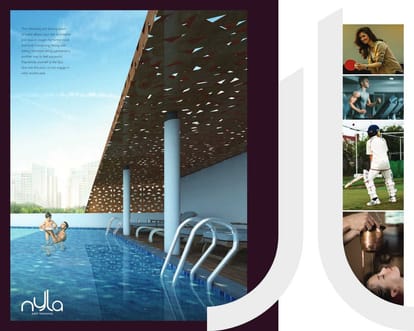 Team4 Nyla Brochure Image 17