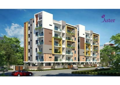 Abinandana Aster Brochure Image 2
