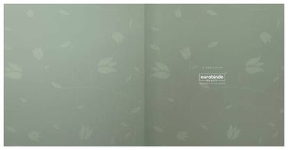 Aurobindo The Regent Brochure Image 2