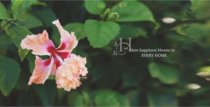 Emami Aastha Brochure Image 28