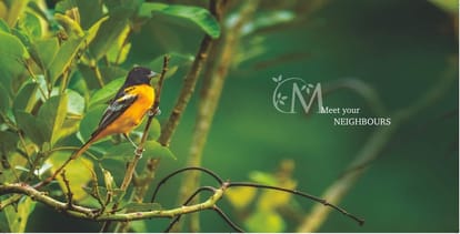 Emami Aastha Brochure Image 8
