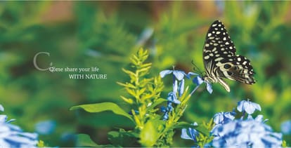 Emami Aastha Brochure Image 24