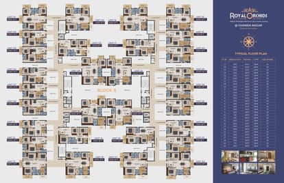 Royal Orchids Brochure Image 3