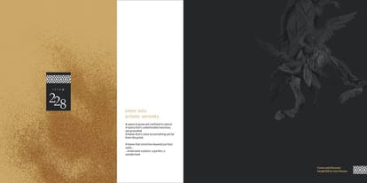 Ista At 228 Brochure Image 2