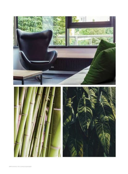 Inspira Tropical Garden Brochure Image 10