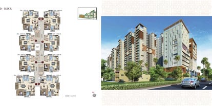 Raghuram The Mighty Magnus Brochure Image 17
