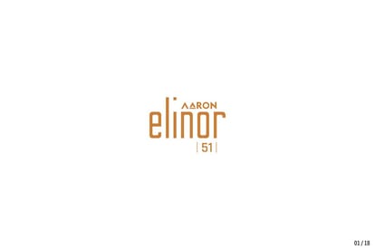 Aaron Elinor 51 Brochure Image 1