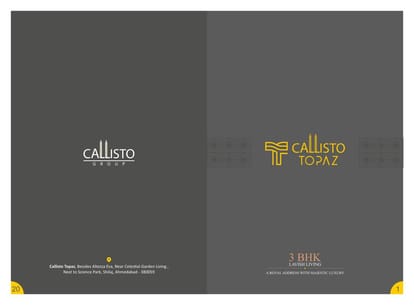 Callisto Topaz Brochure Image 1