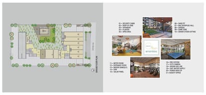 Green Abalone Brochure Image 4