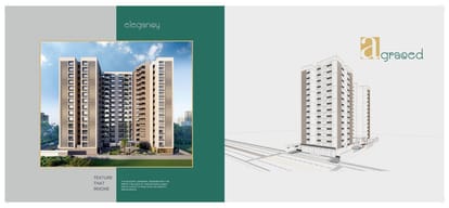 Green Abalone Brochure Image 3