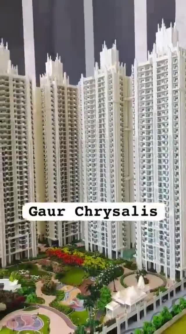 Gaur Chrysalis