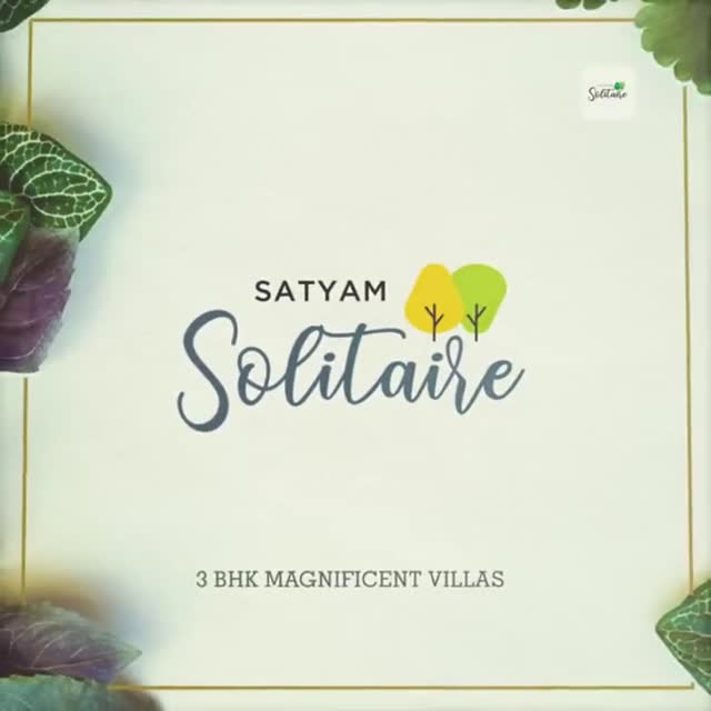 The Solitaire